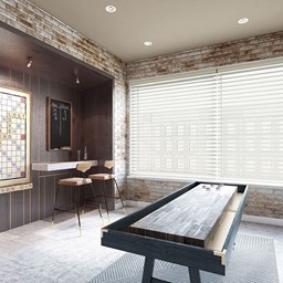 Light Dimming Sheer Shades