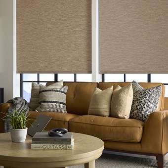 Motorized Light Filtering Roller Shades