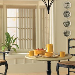 Vinyl Vertical Blinds