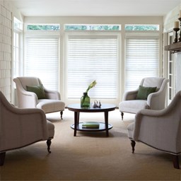 2 1/2 Inch Faux Wood Blinds