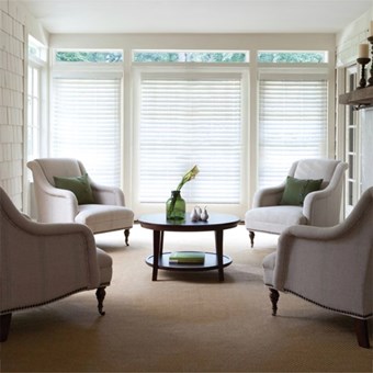 2 1/2 Inch Faux Wood Blinds