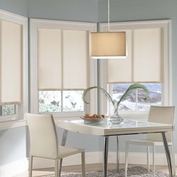 Solar Roller Shade