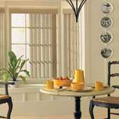 LEVOLOR Vertical Blinds