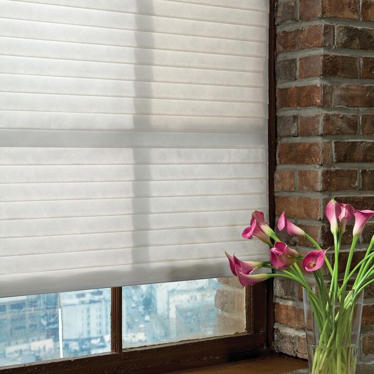 When closed, Manhattan Sheer Shadings offer complete privacy while gently filtering light into your room.  Color: Ivory