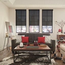 Alternate image for Solar Shades